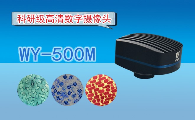 高清CMOS麻豆一区二区在线观看WY-500M