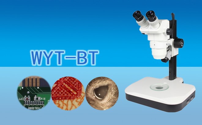三目体视国产麻豆视频WYT-BT