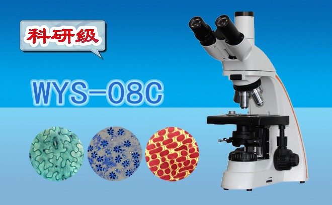 科研*三目生物国产麻豆视频WYS-08C