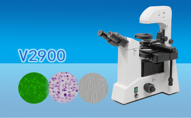 三目倒置生物国产麻豆视频V2900