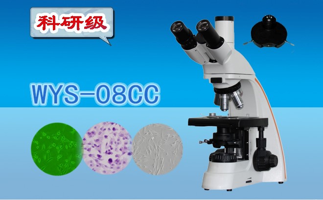 三目相衬国产麻豆视频WYS-08CC
