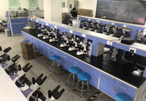 天津城建大学购买麻豆高清无码光电一批三目便携式生物国产麻豆视频WYS-05C
