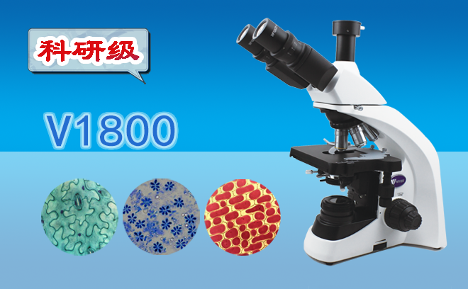 生物国产麻豆视频.png