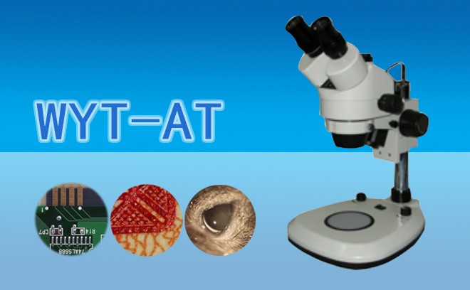 体视国产麻豆视频.jpg